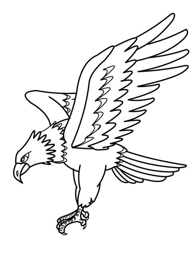 Free printable Eagle coloring page #185164 from Animals collection