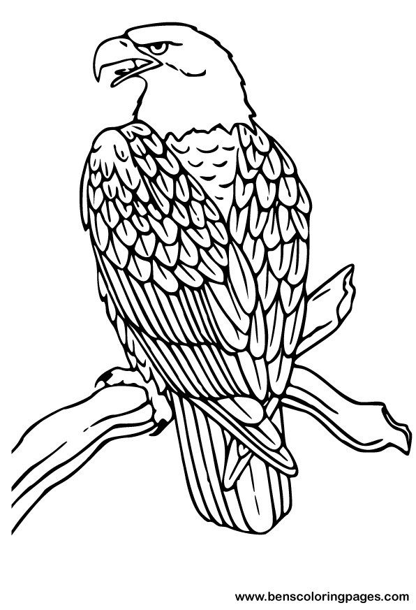 Coloring page: Eagle (Animals) #279 - Free Printable Coloring Pages