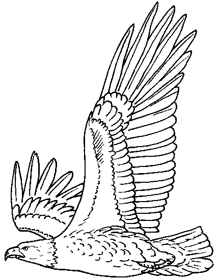 Coloring page: Eagle (Animals) #280 - Free Printable Coloring Pages