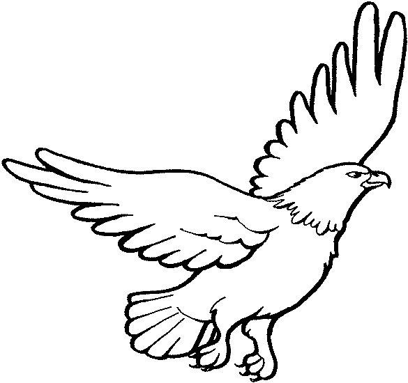 Coloring page: Eagle (Animals) #284 - Free Printable Coloring Pages
