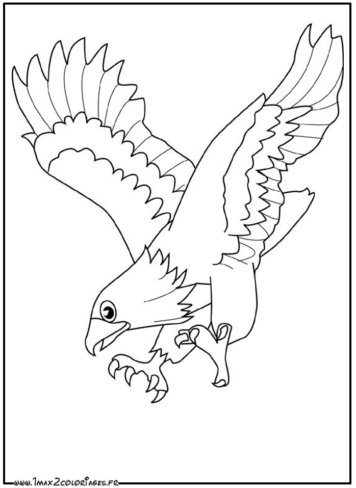 Coloring page: Eagle (Animals) #290 - Free Printable Coloring Pages
