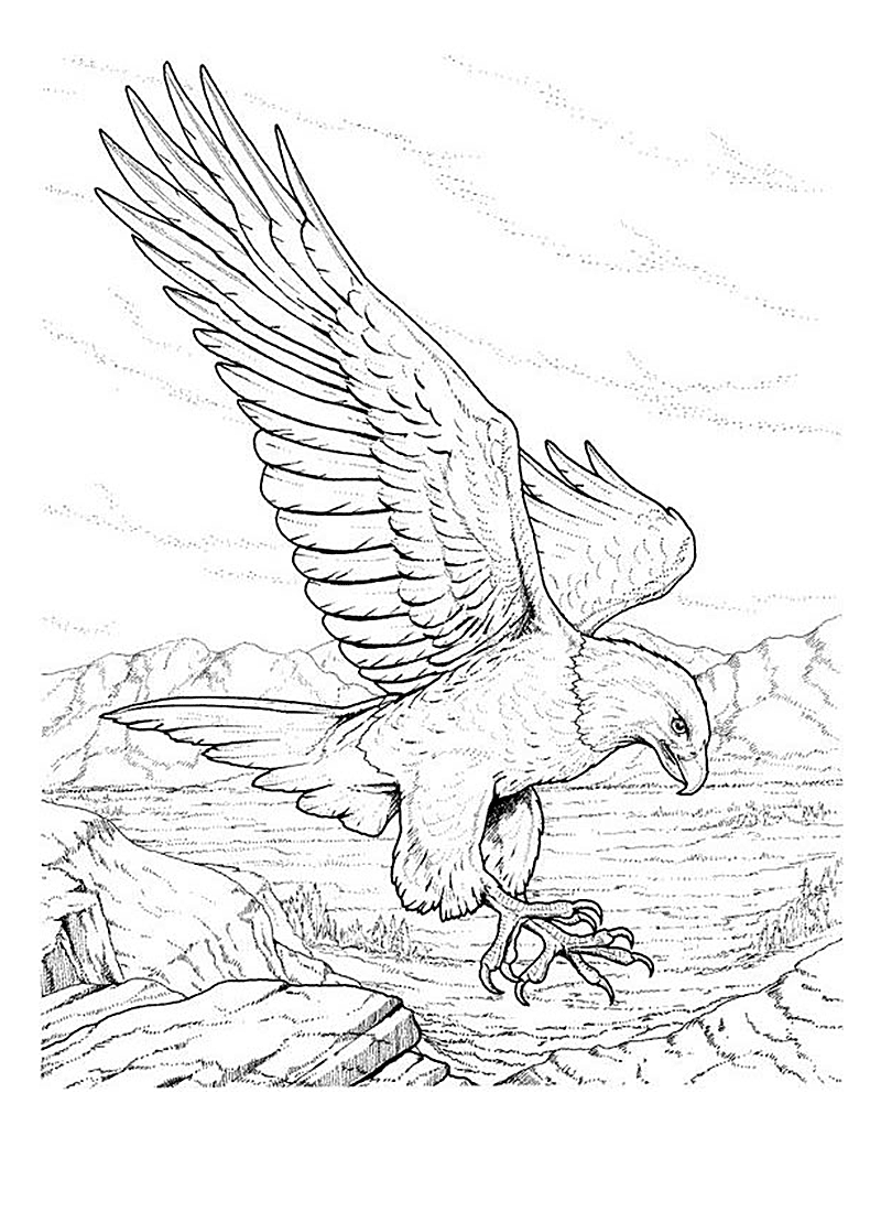 Coloring page: Eagle (Animals) #296 - Free Printable Coloring Pages