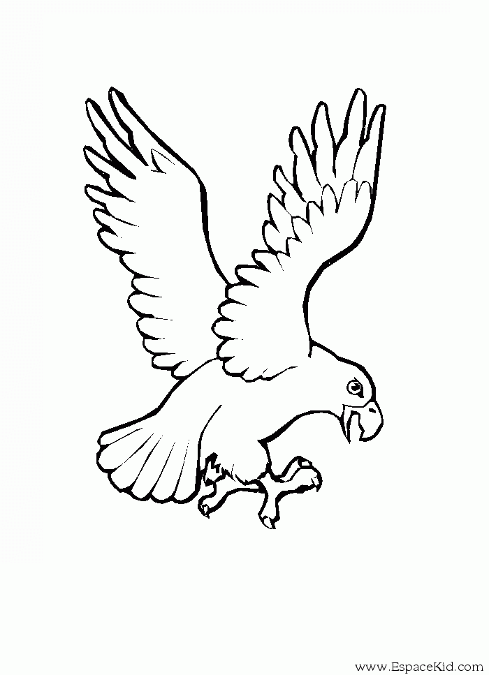 Coloring page: Eagle (Animals) #303 - Free Printable Coloring Pages