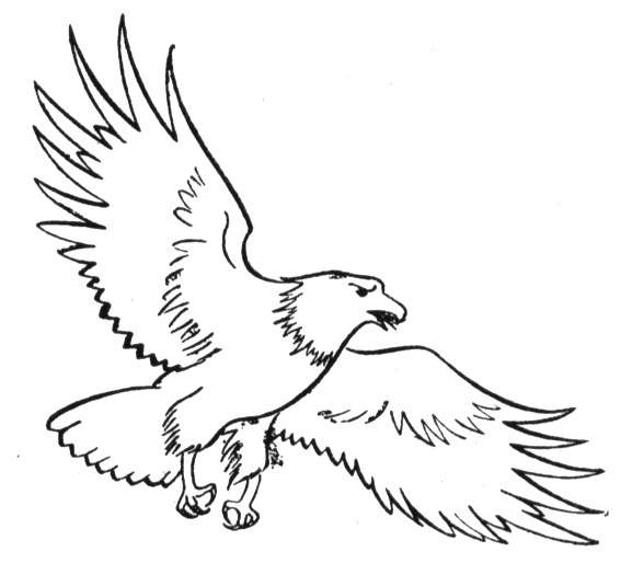 Coloring page: Eagle (Animals) #318 - Free Printable Coloring Pages