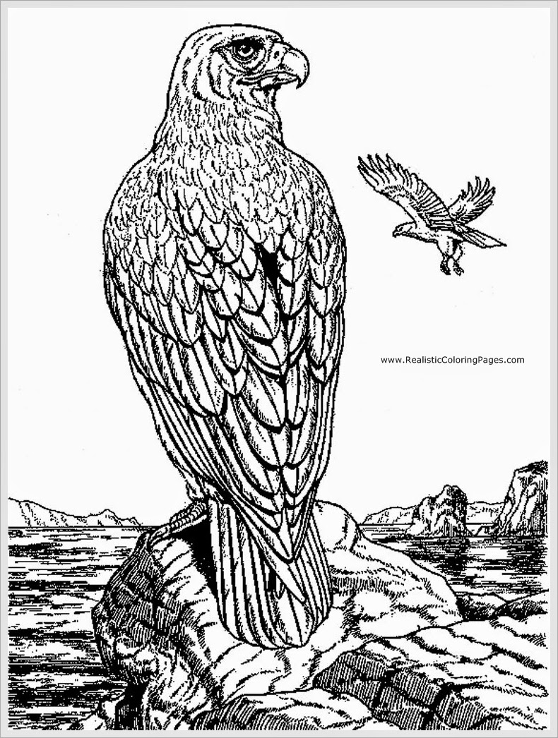 Coloring page: Eagle (Animals) #324 - Free Printable Coloring Pages