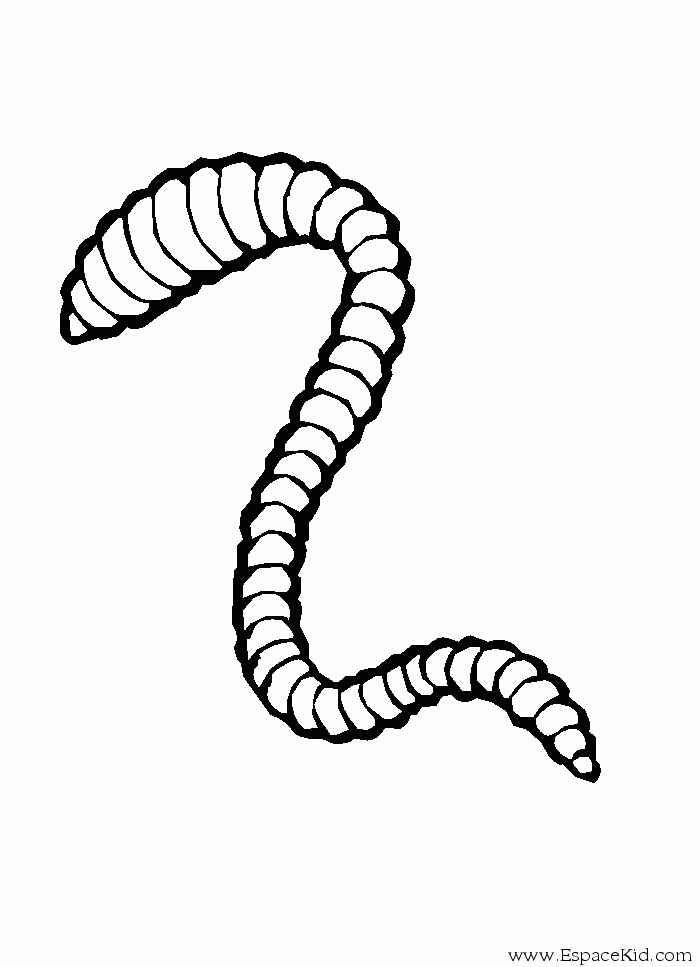 Coloring page: Earthworm (Animals) #18787 - Free Printable Coloring Pages