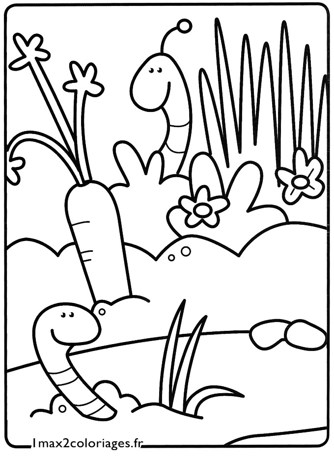 Coloring page: Earthworm (Animals) #18862 - Free Printable Coloring Pages