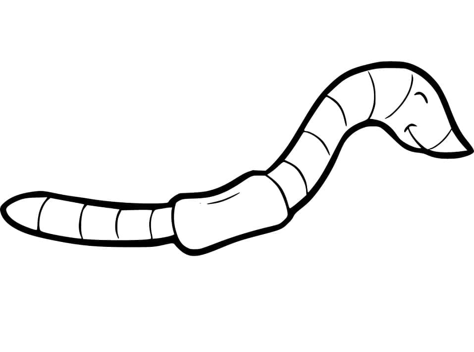 Free printable Earthworm coloring page #214590 from Animals collection