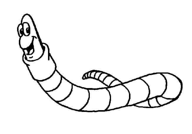 Free printable Earthworm coloring page #214601 from Animals collection