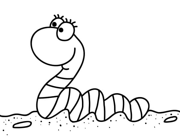 Free printable Earthworm coloring page #214606 from Animals collection Free printable Earthworm coloring page #214606 from Animals collection