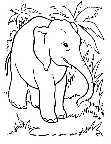Free printable Elephant coloring page #175067 from Animals collection