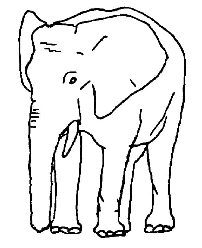Free printable Elephant coloring page #175075 from Animals collection