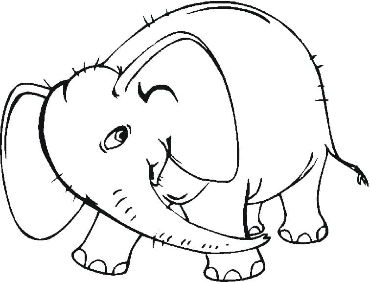 Free printable Elephant coloring page #216854 from Animals collection
