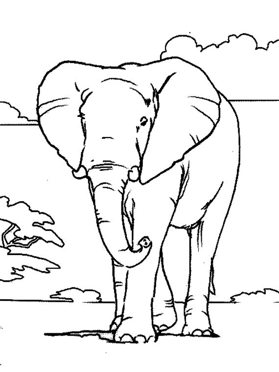 Coloring page: Elephant (Animals) #6301 - Free Printable Coloring Pages