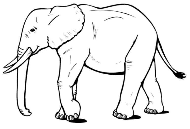 Coloring page: Elephant (Animals) #6310 - Free Printable Coloring Pages