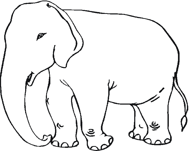 Coloring page: Elephant (Animals) #6342 - Free Printable Coloring Pages