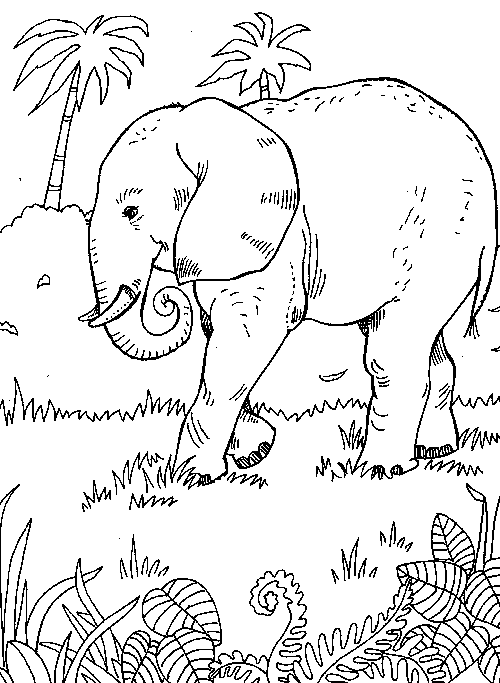 Coloring page: Elephant (Animals) #6345 - Free Printable Coloring Pages
