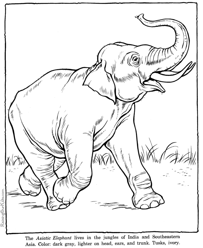 Coloring page: Elephant (Animals) #6418 - Free Printable Coloring Pages