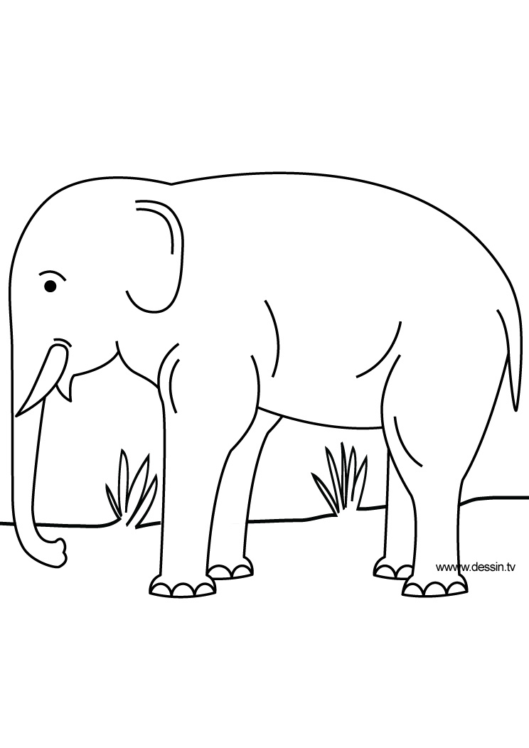 Coloring page: Elephant (Animals) #6440 - Free Printable Coloring Pages