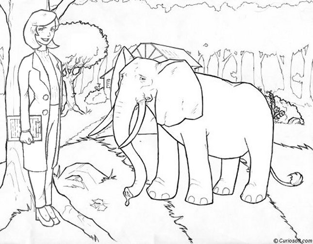 Coloring page: Elephant (Animals) #6455 - Free Printable Coloring Pages