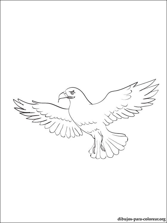 Coloring page: Falcon (Animals) #6842 - Free Printable Coloring Pages