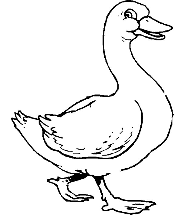 Coloring page: Farm Animals (Animals) #21386 - Free Printable Coloring Pages