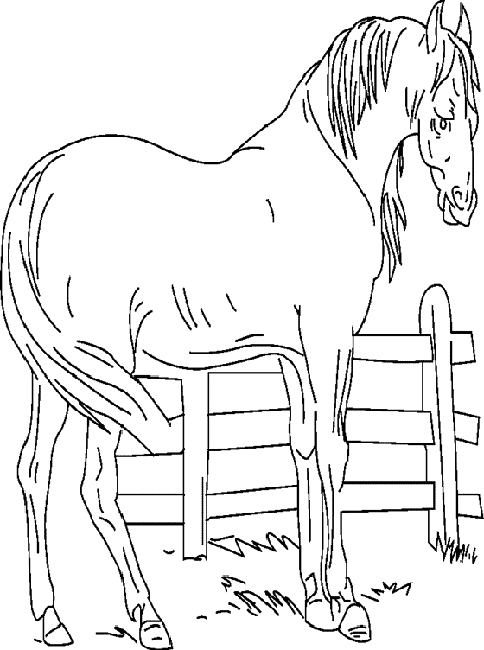Coloring page: Farm Animals (Animals) #21399 - Free Printable Coloring Pages
