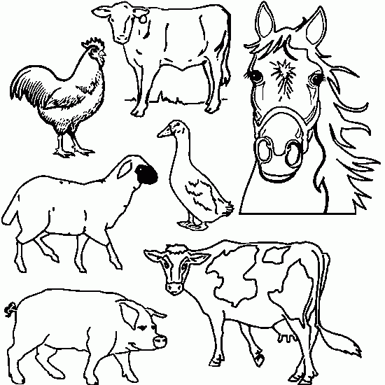 Drawing Farm Animals #21427 (Animals) – Printable coloring pages