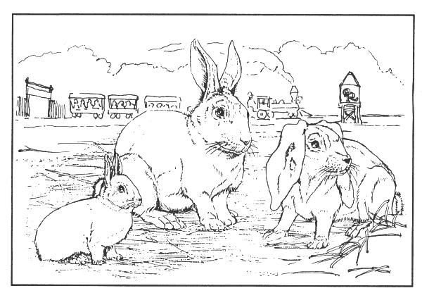 Coloring page: Farm Animals (Animals) #21433 - Free Printable Coloring Pages