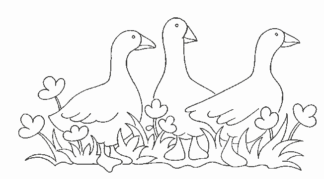 Coloring page: Farm Animals (Animals) #21445 - Free Printable Coloring Pages