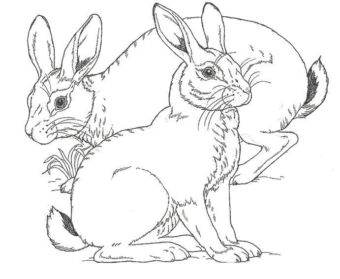 Coloring page: Farm Animals (Animals) #21466 - Free Printable Coloring Pages