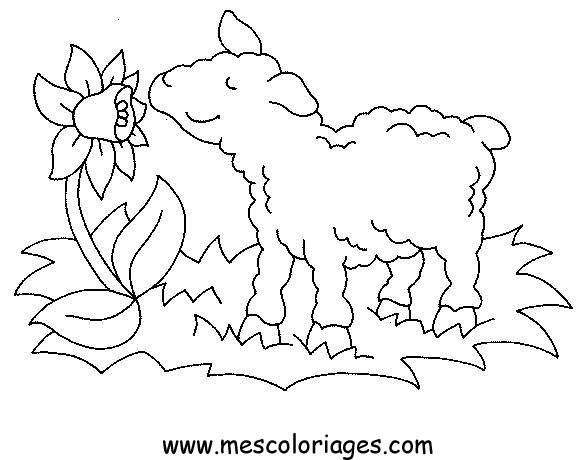 Coloring page: Farm Animals (Animals) #21501 - Free Printable Coloring Pages