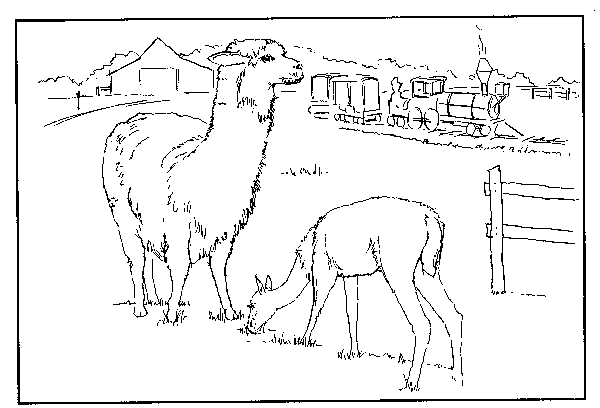 Coloring page: Farm Animals (Animals) #21530 - Free Printable Coloring Pages