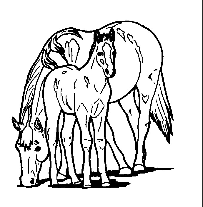 Coloring page: Farm Animals (Animals) #21549 - Free Printable Coloring Pages