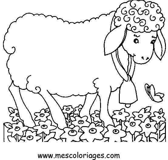 Coloring page: Farm Animals (Animals) #21576 - Free Printable Coloring Pages