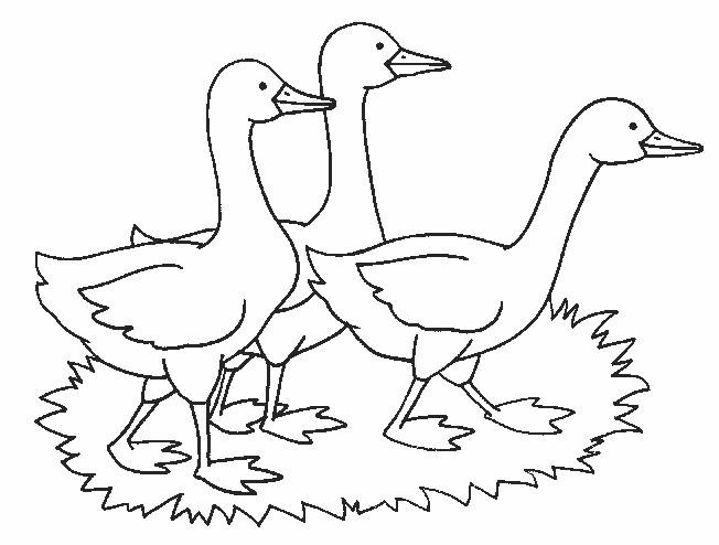 Coloring page: Farm Animals (Animals) #21584 - Free Printable Coloring Pages