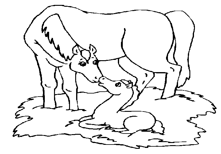 Coloring page: Farm Animals (Animals) #21612 - Free Printable Coloring Pages