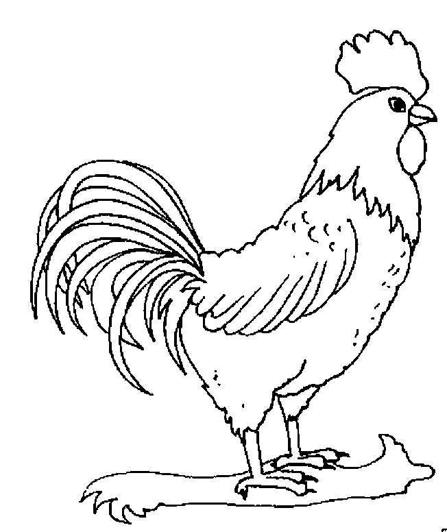 Coloring page: Farm Animals (Animals) #21628 - Free Printable Coloring Pages