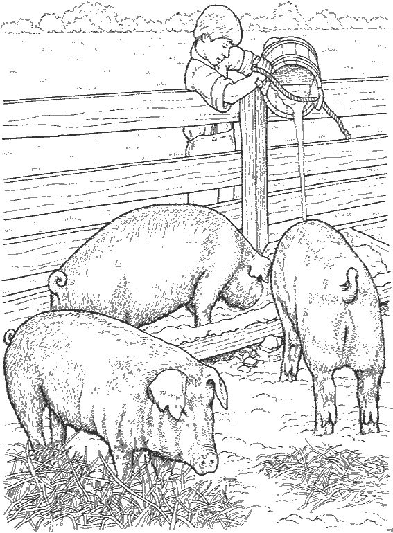 Coloring page: Farm Animals (Animals) #21639 - Free Printable Coloring Pages