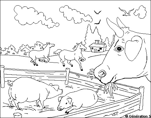 Drawing Farm Animals #21663 (Animals) – Printable coloring pages