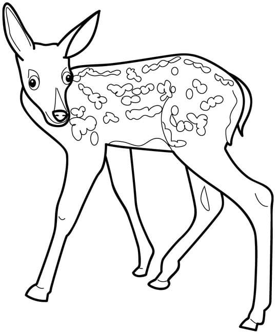 Free printable Fawn coloring page #206066 from Animals collection