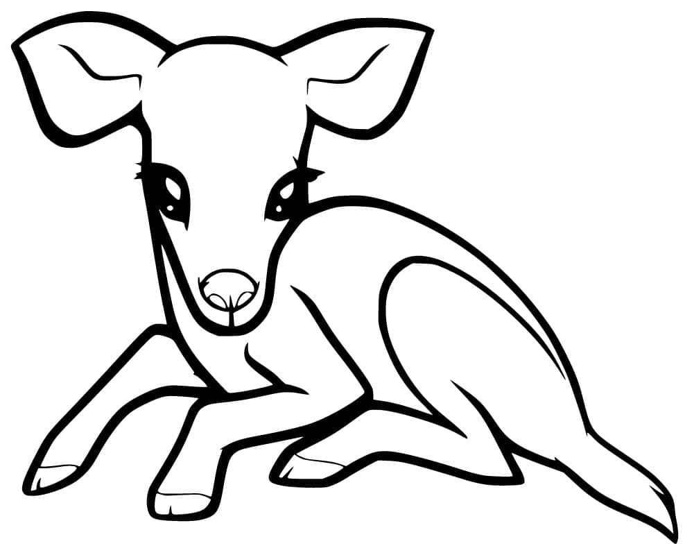 Free printable Fawn coloring page #206085 from Animals collection