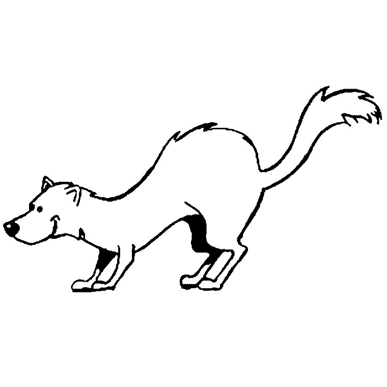Coloring page: Ferret (Animals) #7118 - Free Printable Coloring Pages