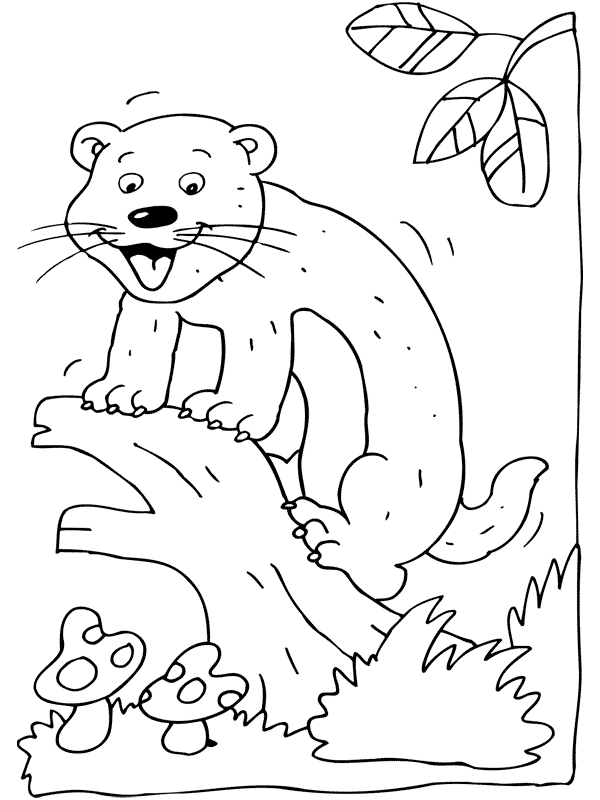 Coloring page: Ferret (Animals) #7128 - Free Printable Coloring Pages