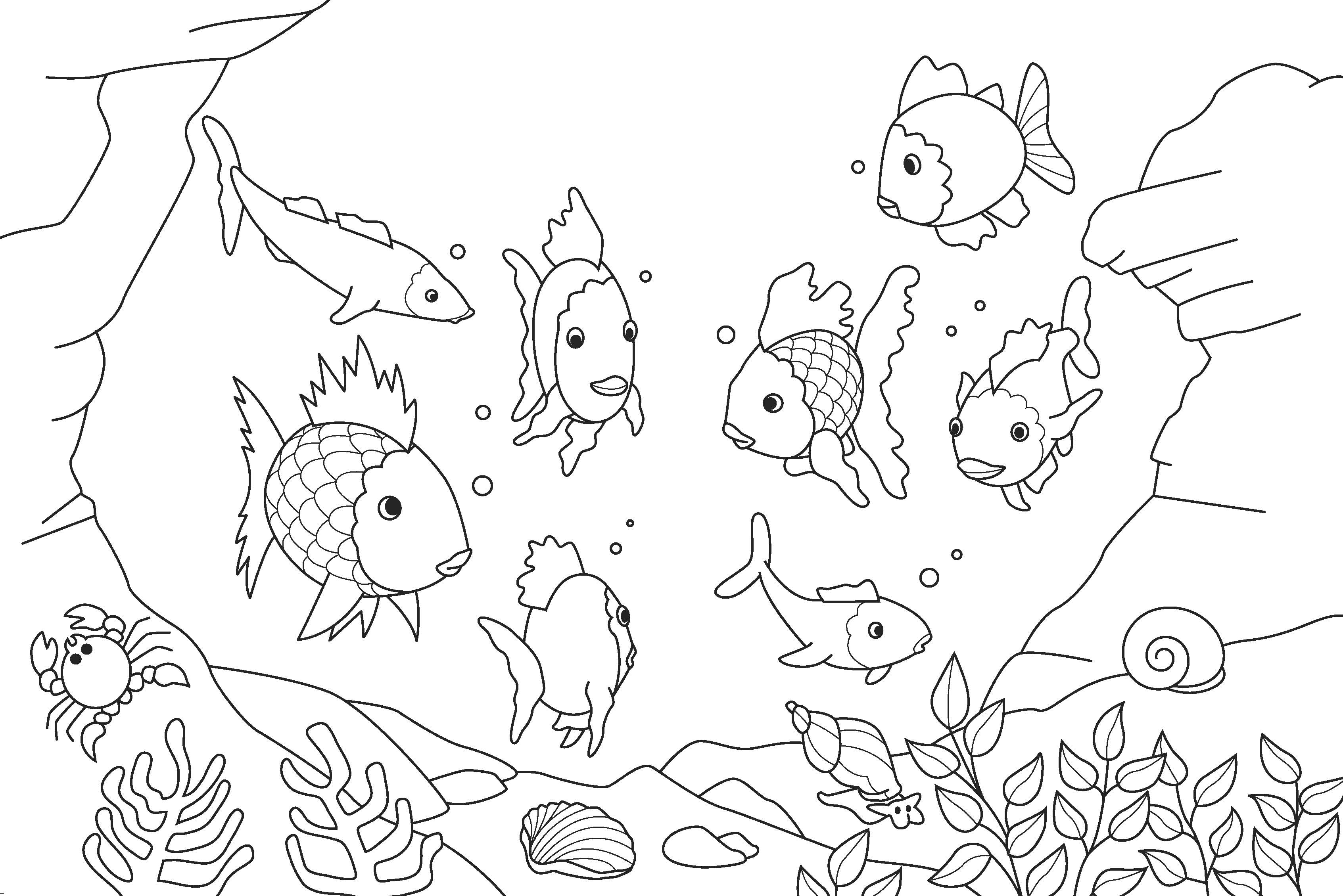 Drawing Fish 20 Animals – Printable coloring pages