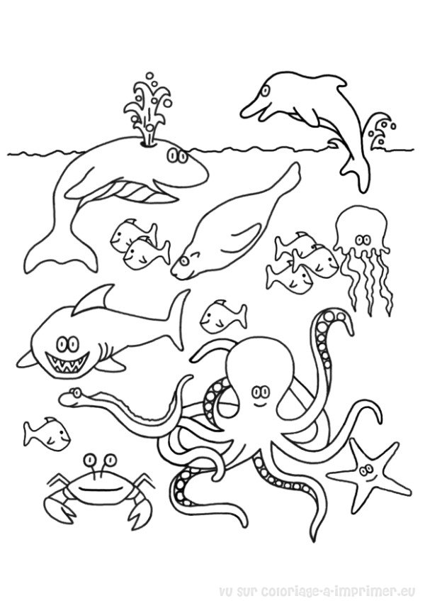 Coloring page: Fish (Animals) #17036 - Free Printable Coloring Pages