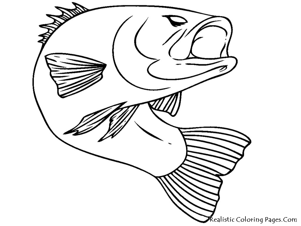 Drawing Fish 20 Animals – Printable coloring pages