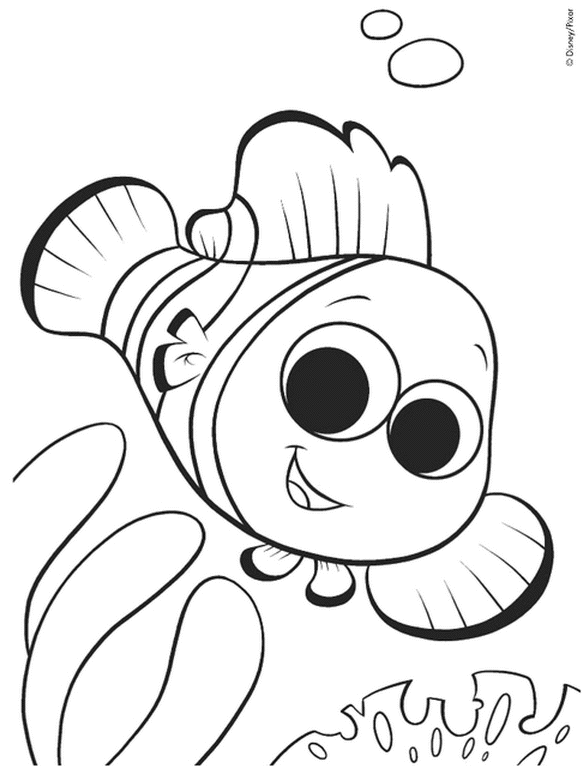 Coloring page: Fish (Animals) #17047 - Free Printable Coloring Pages