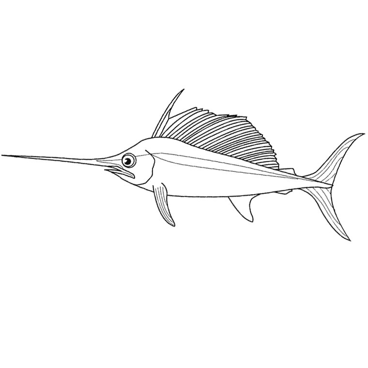 Coloring page: Fish (Animals) #17109 - Free Printable Coloring Pages