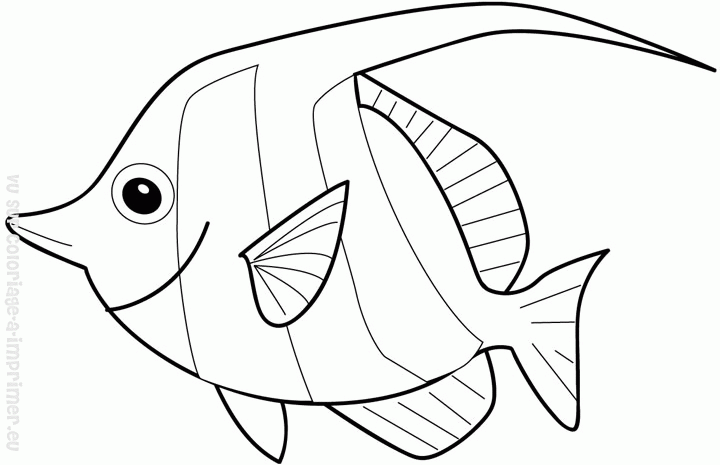 Coloring page: Fish (Animals) #17122 - Free Printable Coloring Pages